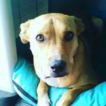 jan griffiths - @jangriffiths751 - Instagram
