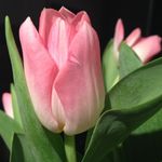 Jan Griffiths - @janetmarygriffiths - Instagram