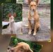 Jan Groen - Facebook