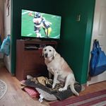 Jan Groh - @jan.groh.794 - Instagram