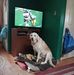 Jan Groh - Facebook