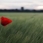Jan Groh - @grohjan - Instagram