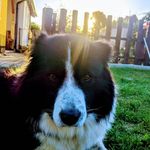 Jan Grohmann - @grohmann_jan - Instagram