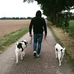 Jan Grohn - @jan_grohn - Instagram
