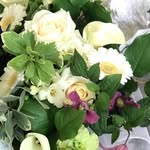 Janet Guthrie-Schulein - @jan_schulein_guthrie - Instagram