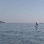 Jan Haas - @haashonza - Instagram