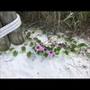 Jan Hardy - @janhardy4 - TikTok
