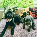 Jan Hardy - @hardy9224 - Instagram