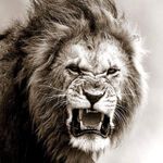 Jan Hardy  |   Beatmaker - @prod.janhardy - Instagram