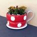 Jan Harlow - Facebook