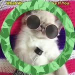 Jan Nelson Harlow - @mamajan0951 - Instagram