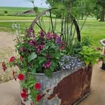 Jan Wilson Harlow - @wilsonharlow - Instagram