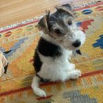 Jan Hatch - @lilbuell1_ - Instagram