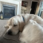 Jan Hatch - @jan.hatch.52 - Instagram