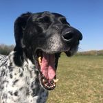 Jan Hatch - @hatchajan - Instagram