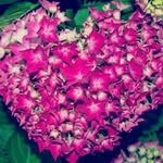jan hawkins - @janhawkins70 - Instagram