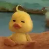 Janhawk 🦆 - @janhok17 - TikTok