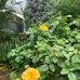 Jan Hedrick - Facebook