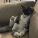 Janet Helfrich Miller - @jehmiller48 - Instagram