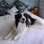 Jan Helm - @jan.helm.144 - Instagram