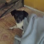 Jan Hembree - Facebook