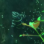 Jan Hensel - @janhensel2011 - Instagram