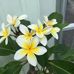 Jan Hickey - Facebook