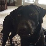 Jan Hickey McCoy - @janhickeymccoy - Instagram