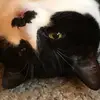 Jan Hills - @jan.hills06 - TikTok