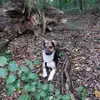 hoffy - @janhoffmann46 - TikTok