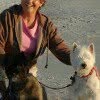 Jan Hoffman - @3terriertown - Instagram