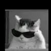 mercedes.fan.page1234 - @julijan.holik - TikTok