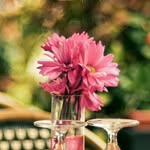 Jan Hook - @jan.hook.330 - Instagram