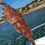 Jan Hook Fishing - @janhook_fishing - Instagram