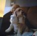 Jan Hopper - Facebook