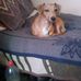 Jan Horne - Facebook