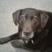 Jan Horne - Facebook