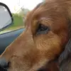 Jan Huber - @jan.huber6 - TikTok