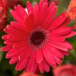 Jan Ingram Gray - @janie0079 - Instagram