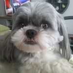 Jan Inman - @jan.inman.9 - Instagram