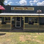 Jan Inman - @smarty_pants_clothing - Instagram