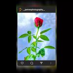 Janivesphotography - @__janivesphotography__ - Instagram