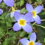 Jan Jacobson - @jan.jacobson1 - Instagram