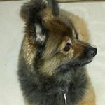 Jan Jacobson - @jacobson4329 - Instagram