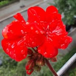 Jan Jahn - @hartmut.jahn - Instagram