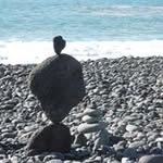 Jan James - @janjames8527 - Instagram