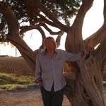 Jan Johnson - @janjohnson8904 - Instagram