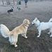 Jan Joyce - Facebook