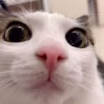 Jan - @jan_kaplan - Instagram