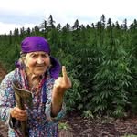 Jan Kaplan - @jan__kaplan - Instagram